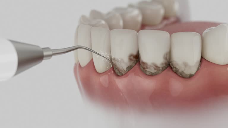 Reliable Dental contractor in Lincoln Park, NJ by Dentist Open Now